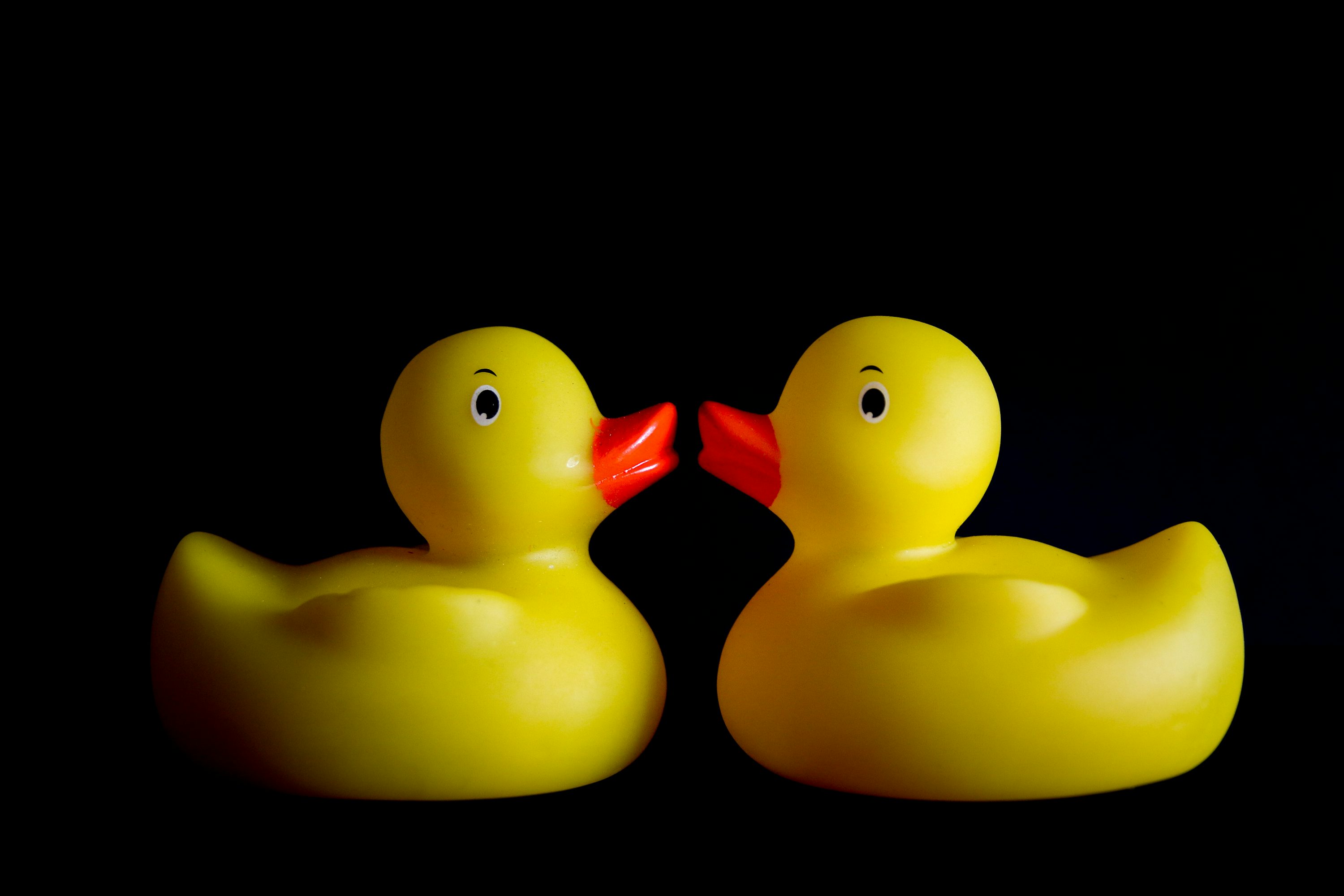 ducky