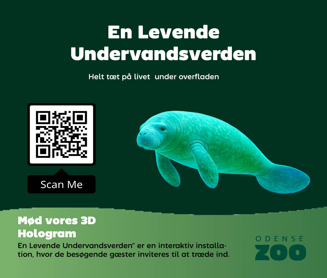 Flyer installation